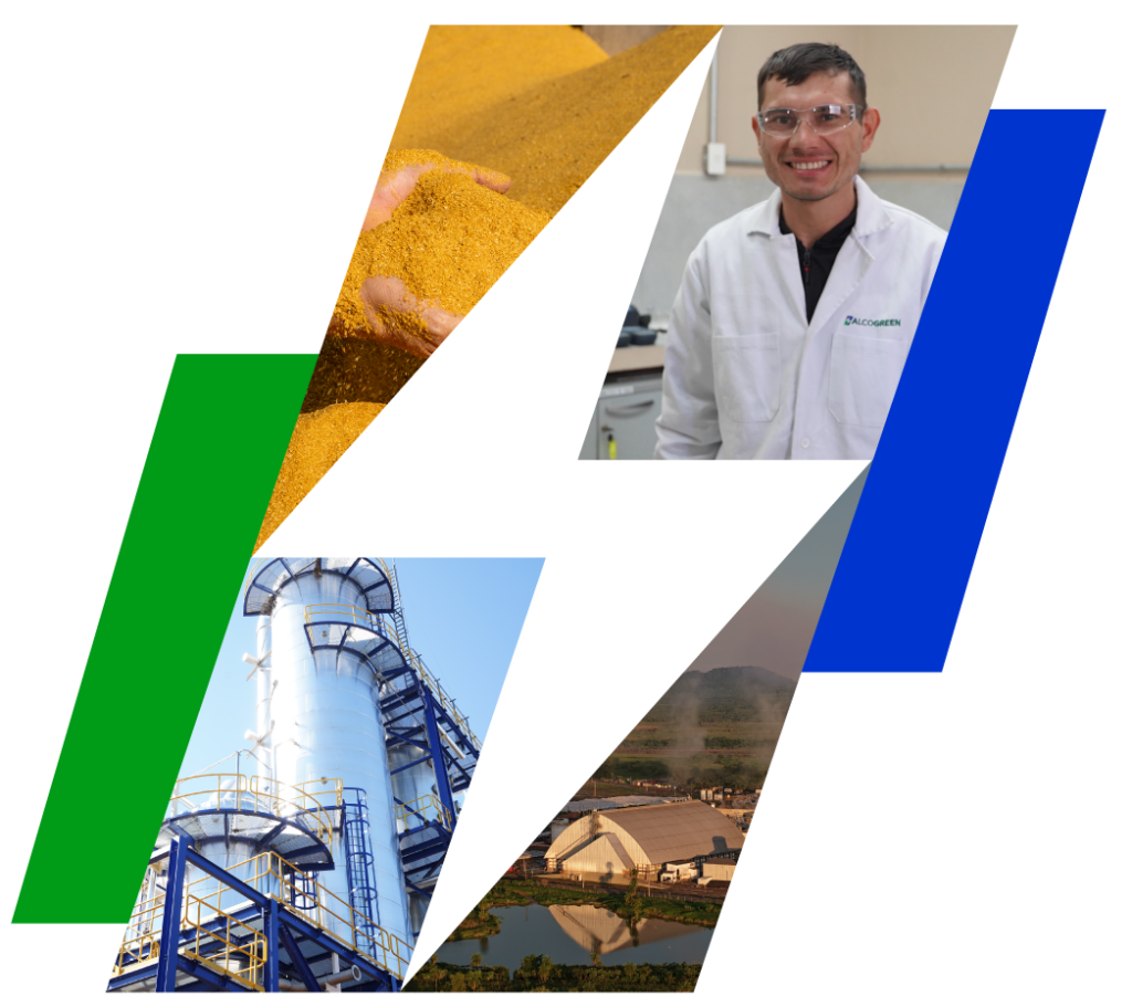 Materia Prima e Innovación Alcogreen - Grupo Zapag
